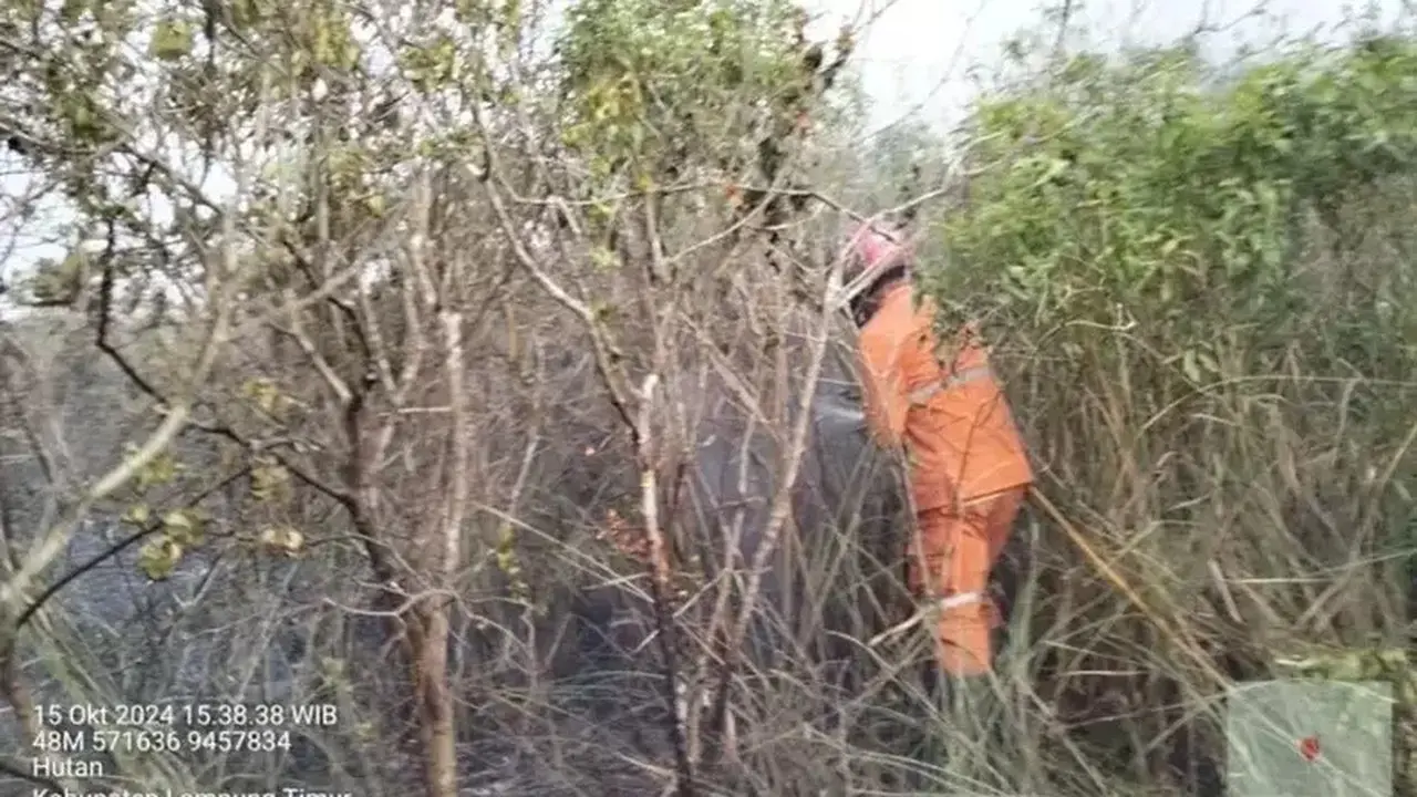 Api Melalap TN Way Kambas, Tim Gabungan Berjuang Padamkan Kebakaran Hutan