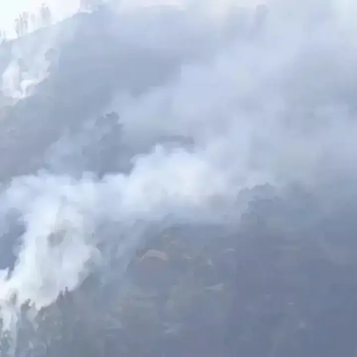 Bromo Masih Dilalap Api, Pemadaman Gabungan Berlangsung Intensif
