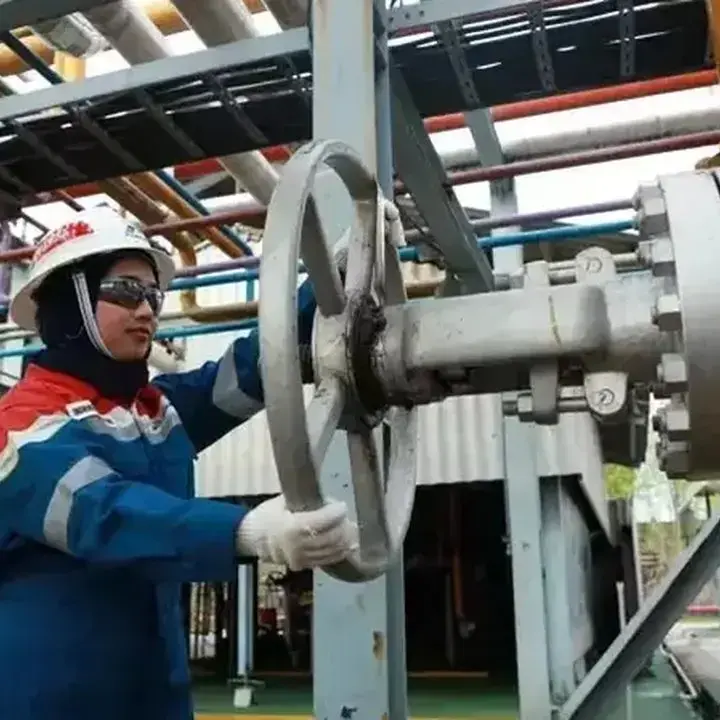 Delapan Insentif Kunci untuk Dongkrak Produksi Hulu Migas Nasional