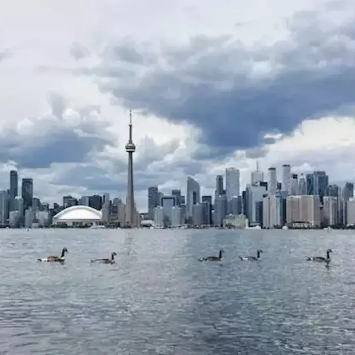Donald Trump Pertimbangkan Ganti Nama Danau Ontario Jadi Danau Amerika