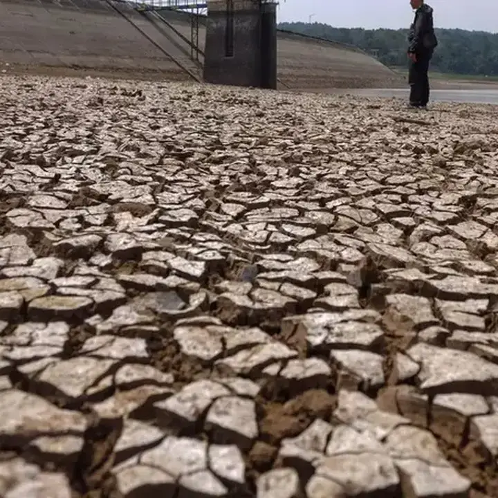 El Nino Mengancam Petani, Padat Karya Jadi Solusi Pendapatan