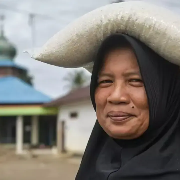 Harga Beras Meroket di Daerah Terpencil Meski Produksi Nasional Surplus