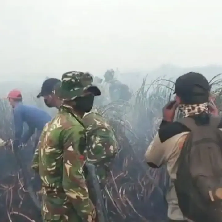 Karhutla di TN Way Kambas Berhasil Dipadamkan, Gajah Dipastikan Aman