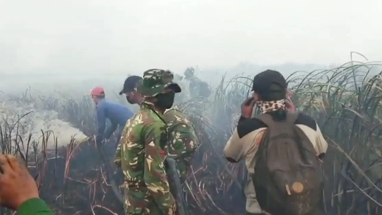 Karhutla di TN Way Kambas Berhasil Dipadamkan, Gajah Dipastikan Aman