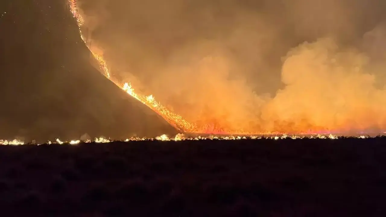 Kebakaran Melanda Bromo, Akses Wisata Ditutup Total demi Keselamatan