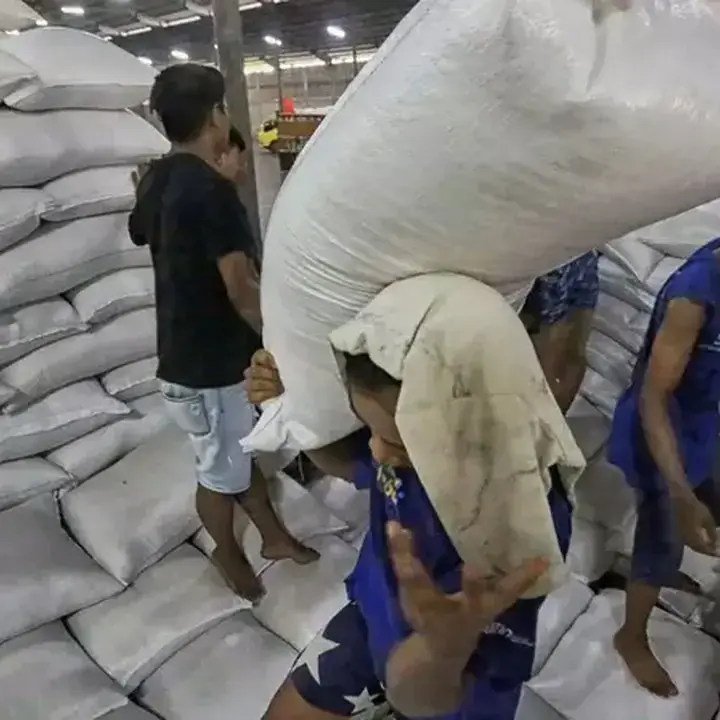 Pemerintah Fokus Stabilisasi Harga Beras dan Jagung, Peternak Protes Lonjakan Pakan