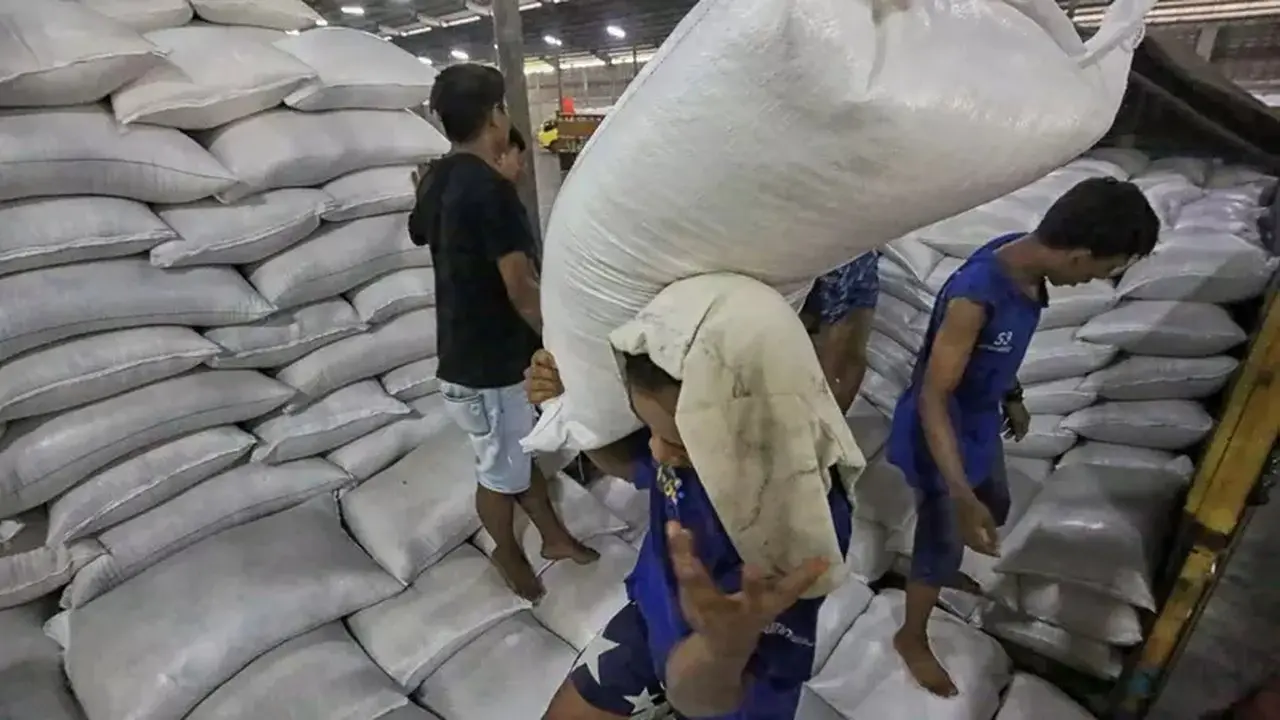 Pemerintah Fokus Stabilisasi Harga Beras dan Jagung, Peternak Protes Lonjakan Pakan