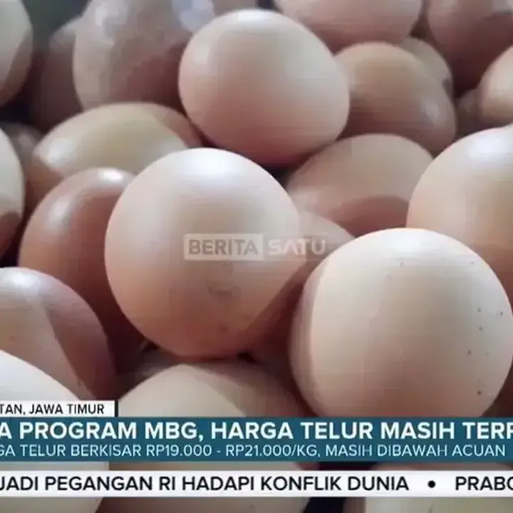 Pemerintah Siapkan Jagung SPHP dan Makan Bergizi Gratis Atasi Anjloknya Harga Telur