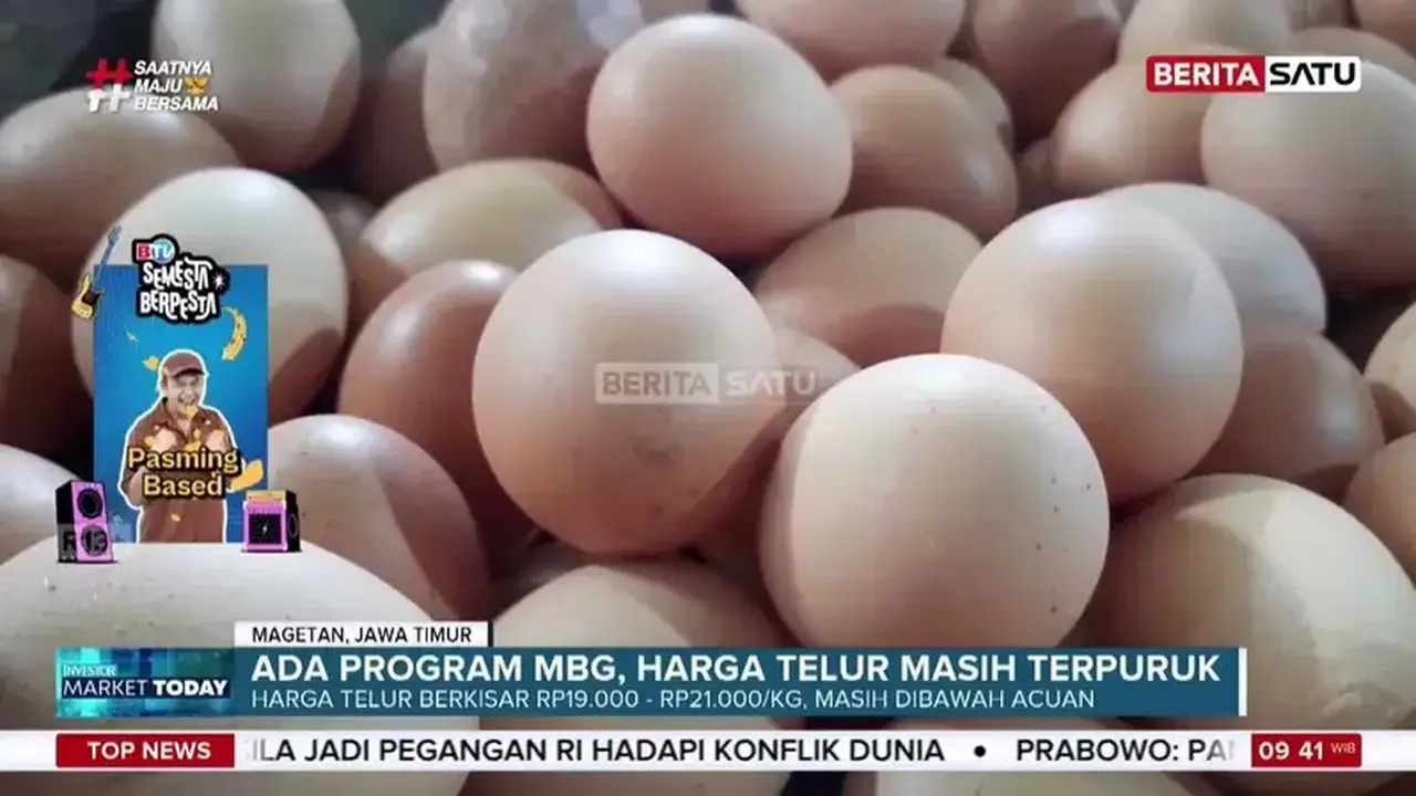 Pemerintah Siapkan Jagung SPHP dan Makan Bergizi Gratis Atasi Anjloknya Harga Telur