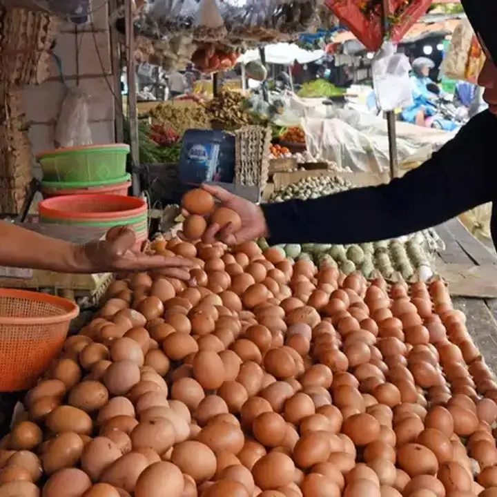 Pemerintah Upayakan Harga Telur Ayam Ras Kembali ke Rp 30 Ribu/Kg