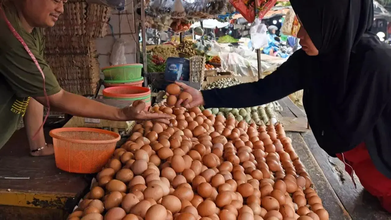 Pemerintah Upayakan Harga Telur Ayam Ras Kembali ke Rp 30 Ribu/Kg