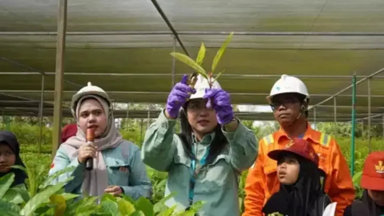Potensi Ekonomi Tanamalia: Dorong Lapangan Kerja dan UMKM Lokal Luwu Timur