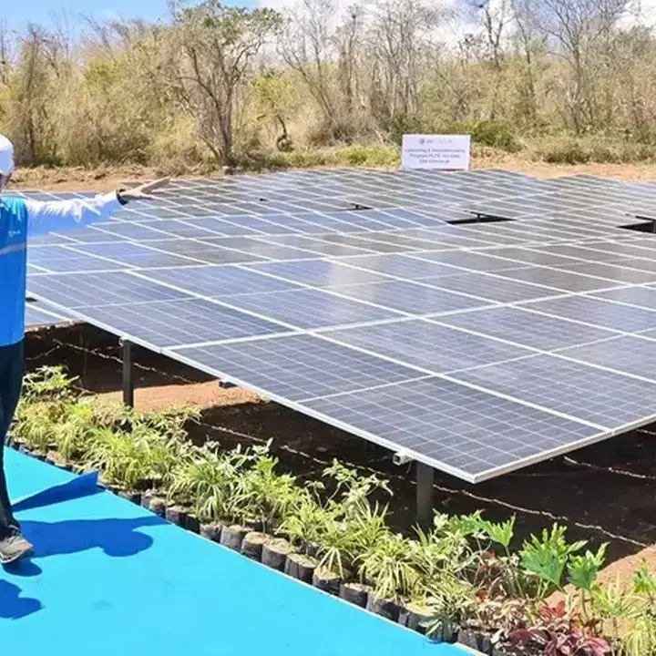 Prabowo Resmikan 14 Proyek PLTS 5,3 GW, Target 100 GW hingga 2029