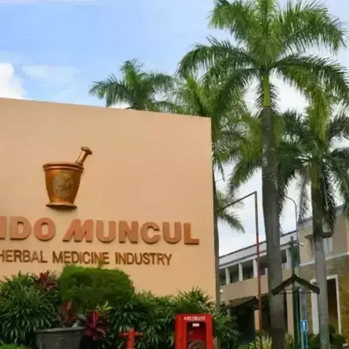 Sido Muncul Hadapi Tekanan, Analis Rilis Target Harga Saham Terbaru