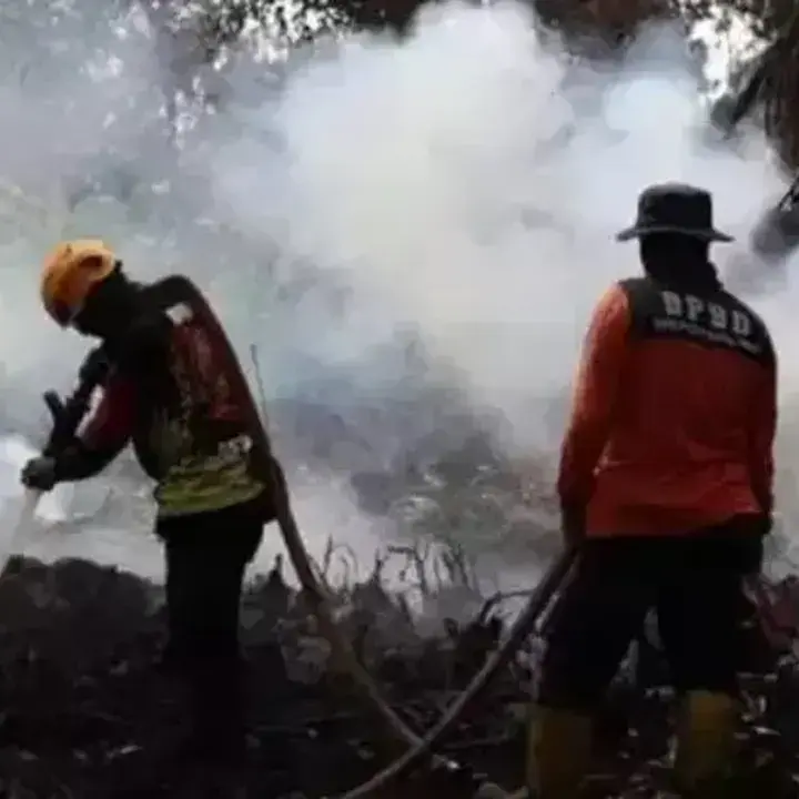 Aice Kumpulkan Rp 101 Juta Lebih untuk Korban Bencana Melalui Penjualan Es Krim dan Likes TikTok