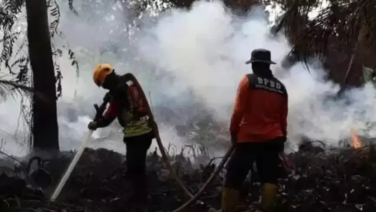 Aice Kumpulkan Rp 101 Juta Lebih untuk Korban Bencana Melalui Penjualan Es Krim dan Likes TikTok