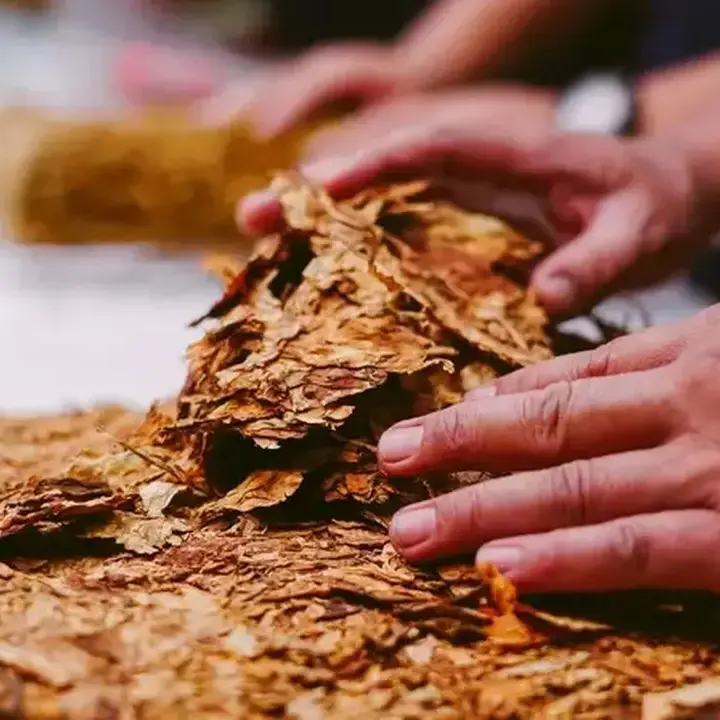 Aturan Baru Produk Tembakau, Ini Potensi Perubahan Pilihan Konsumen