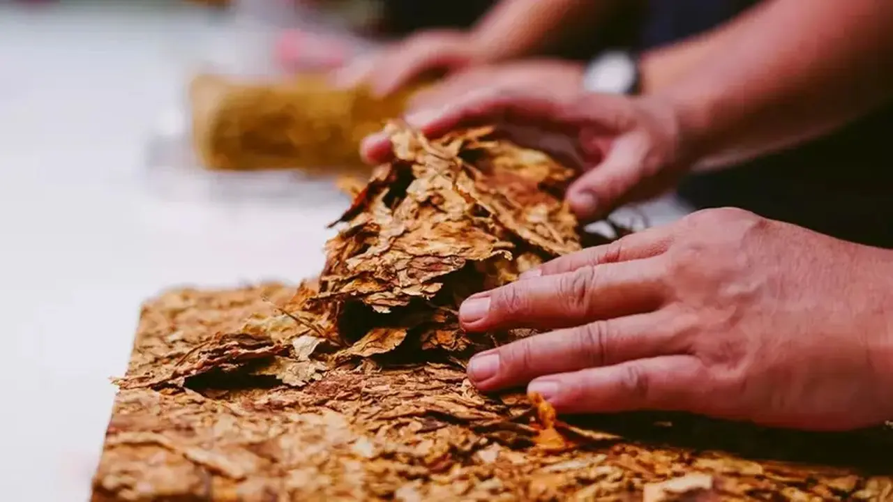 Aturan Baru Produk Tembakau, Ini Potensi Perubahan Pilihan Konsumen