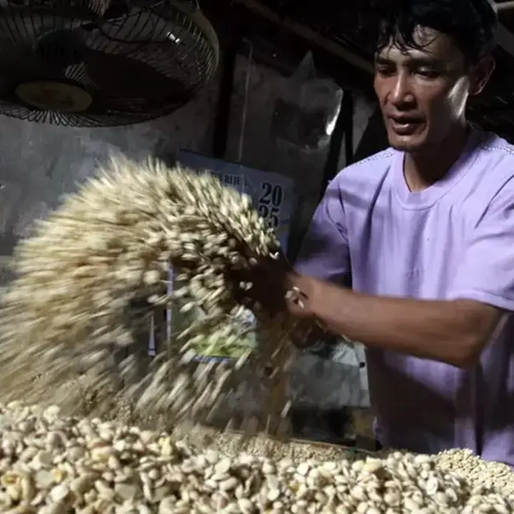 Bapanas Proyeksi Surplus Kedelai 290 Ribu Ton, Impor Masih Jadi Tantangan Utama