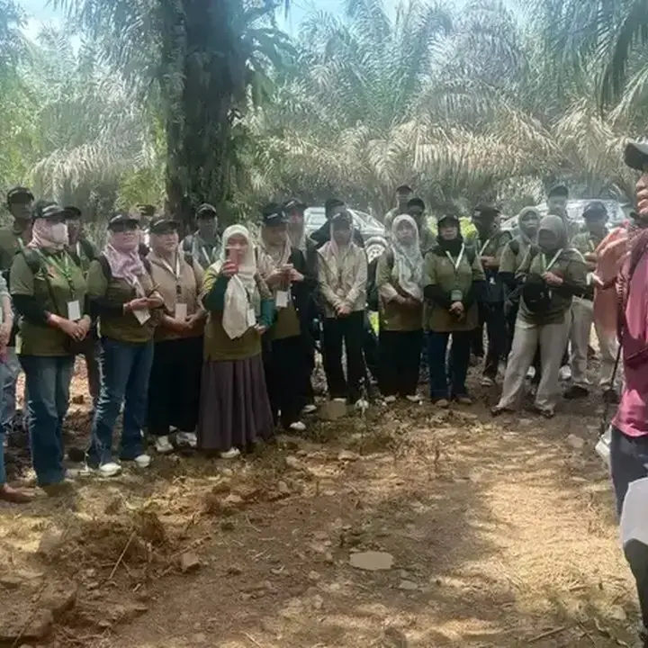 Fokus Tingkatkan Produktivitas Sawit, Pekebun Didorong Maksimalkan Kebun yang Ada