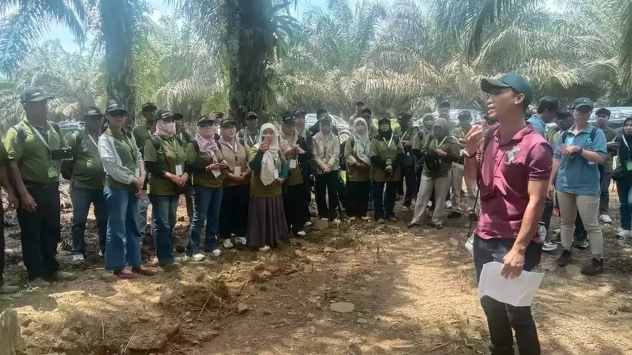 Fokus Tingkatkan Produktivitas Sawit, Pekebun Didorong Maksimalkan Kebun yang Ada