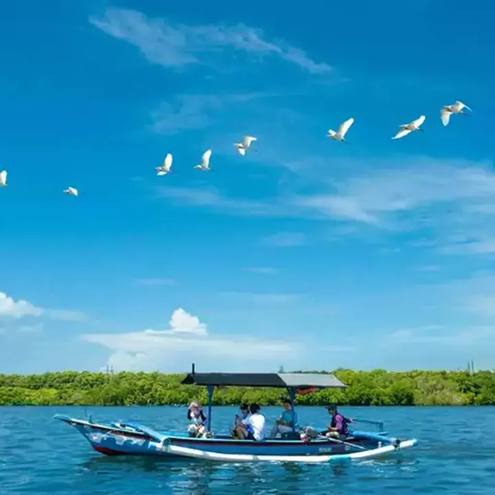 Kapal Listrik Nelayan Bali Hemat Biaya, Buka Peluang Wisata Mangrove