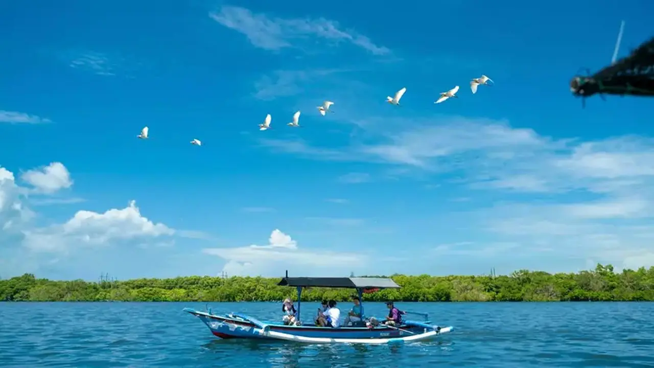 Kapal Listrik Nelayan Bali Hemat Biaya, Buka Peluang Wisata Mangrove