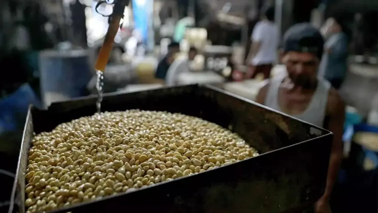 Pasokan Kedelai Stabil, Kunci Produksi Tahu Tempe Berkelanjutan