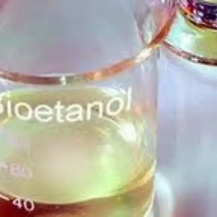 Pemerintah Gandeng Swasta Kembangkan Bioetanol, Lahan 2 Juta Hektare Disiapkan