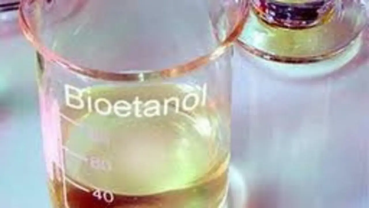 Pemerintah Gandeng Swasta Kembangkan Bioetanol, Lahan 2 Juta Hektare Disiapkan