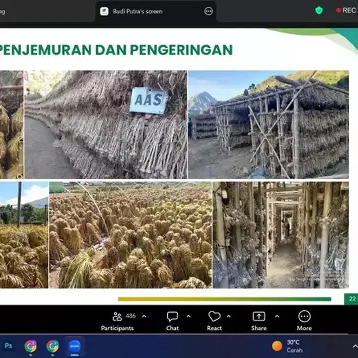 Pemerintah Targetkan Swasembada Bawang Putih dalam Tiga Tahun Lewat HPP Rp12 Ribu