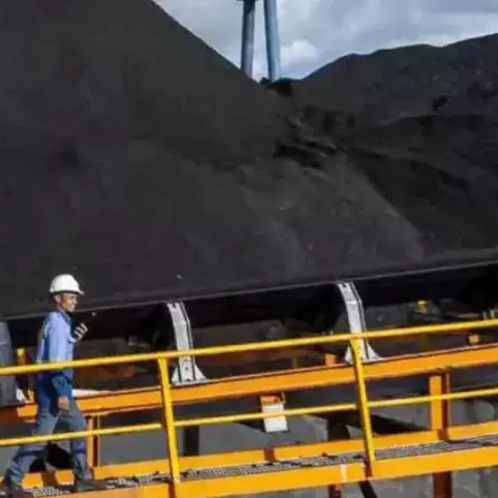 Pergerakan Saham Petinggi BYAN dan BRMS: Divestasi vs. Borongan
