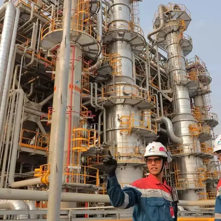 Pertamina EP Jatibarang Sukses Turunkan CO2 Hingga 60%, Jadi Pilot Project Nasional
