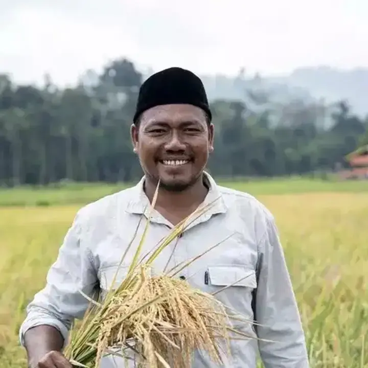 Petani Milenial Pulau Obi Raih Hasil Panen Padi 8,3 Ton per Hektare di Tengah Tantangan