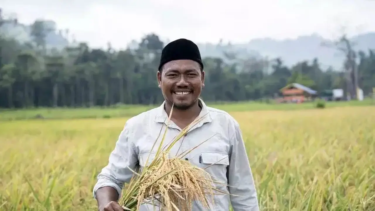 Petani Milenial Pulau Obi Raih Hasil Panen Padi 8,3 Ton per Hektare di Tengah Tantangan