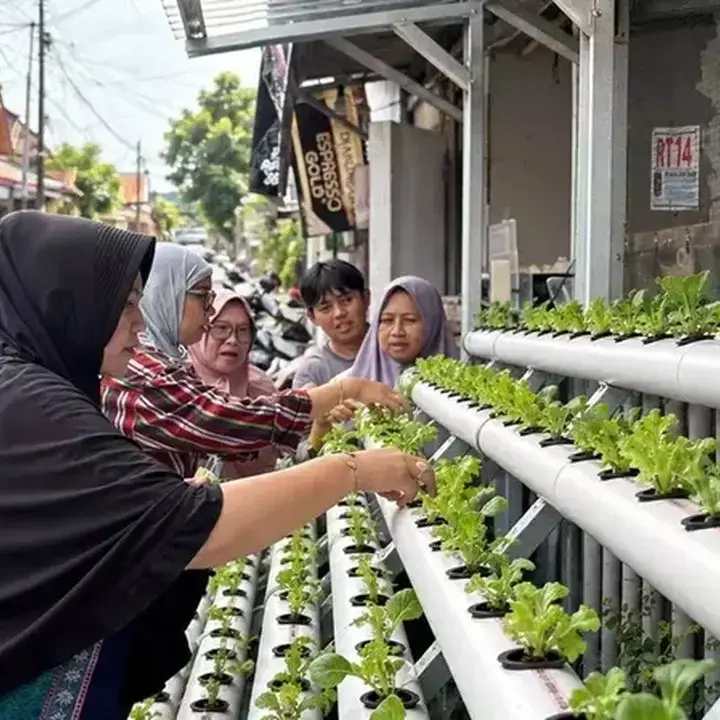 PNM Ubah Lorong Sempit Jadi Lahan Pangan Lewat Program Agro Urban Madani