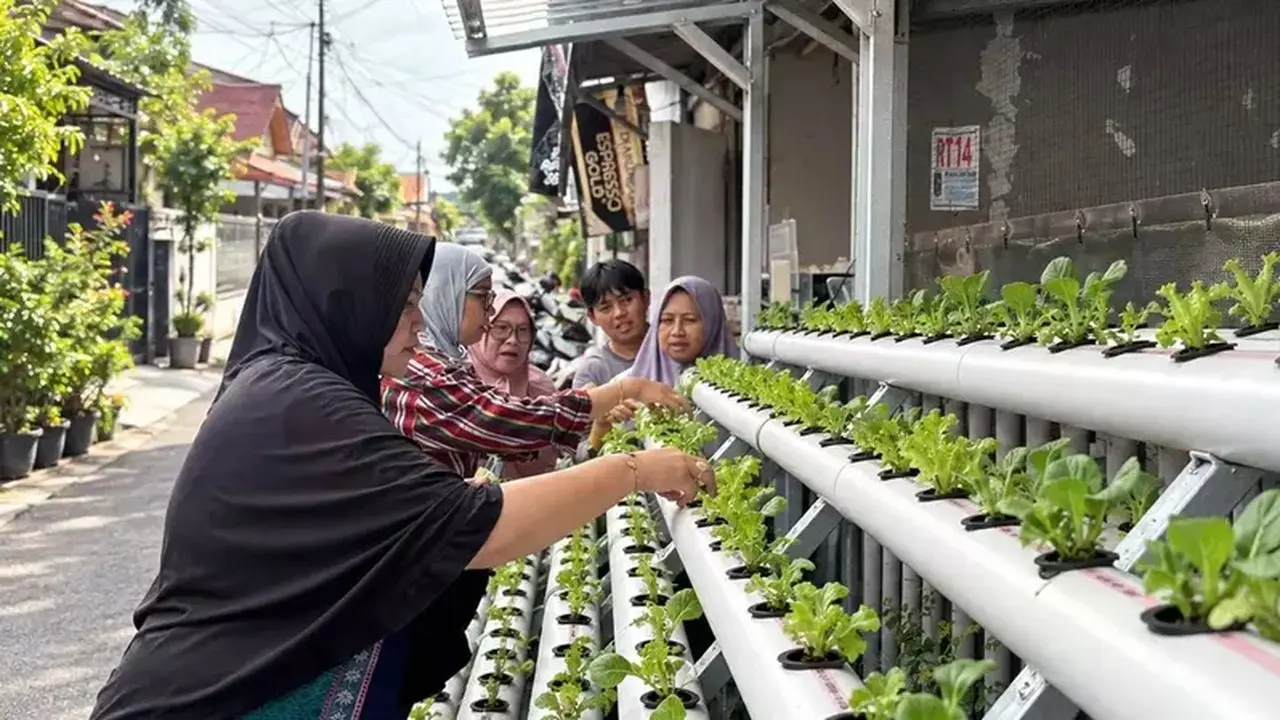 PNM Ubah Lorong Sempit Jadi Lahan Pangan Lewat Program Agro Urban Madani