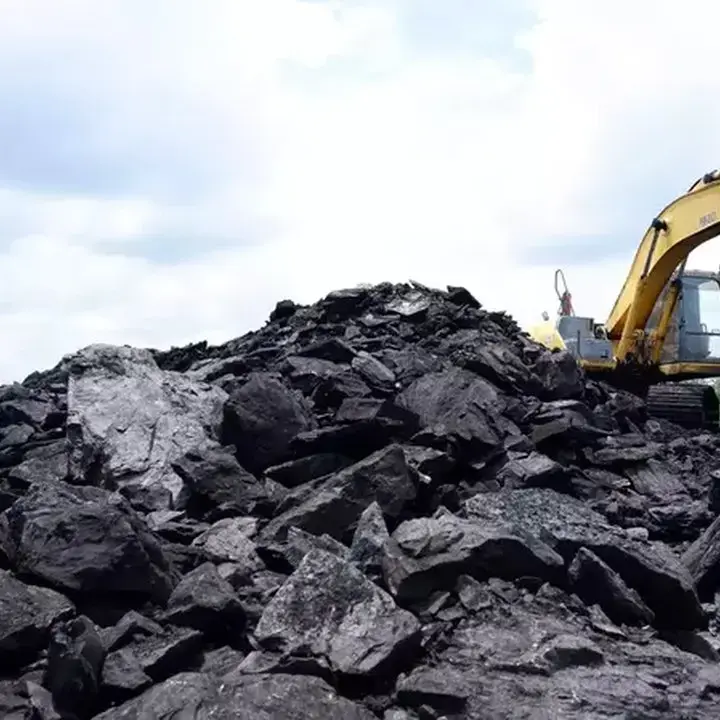 PT Resource Alam Indonesia Tbk Bagikan Dividen Rp 20 per Saham