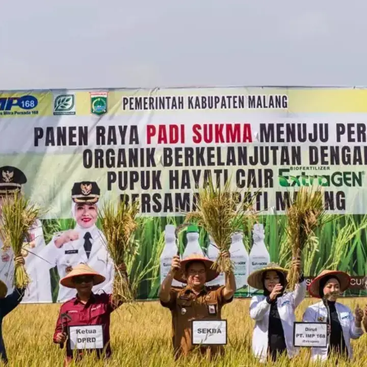 Pupuk Hayati Cair Dongkrak Hasil Panen Padi Malang Hingga 12,5 Ton per Hektare
