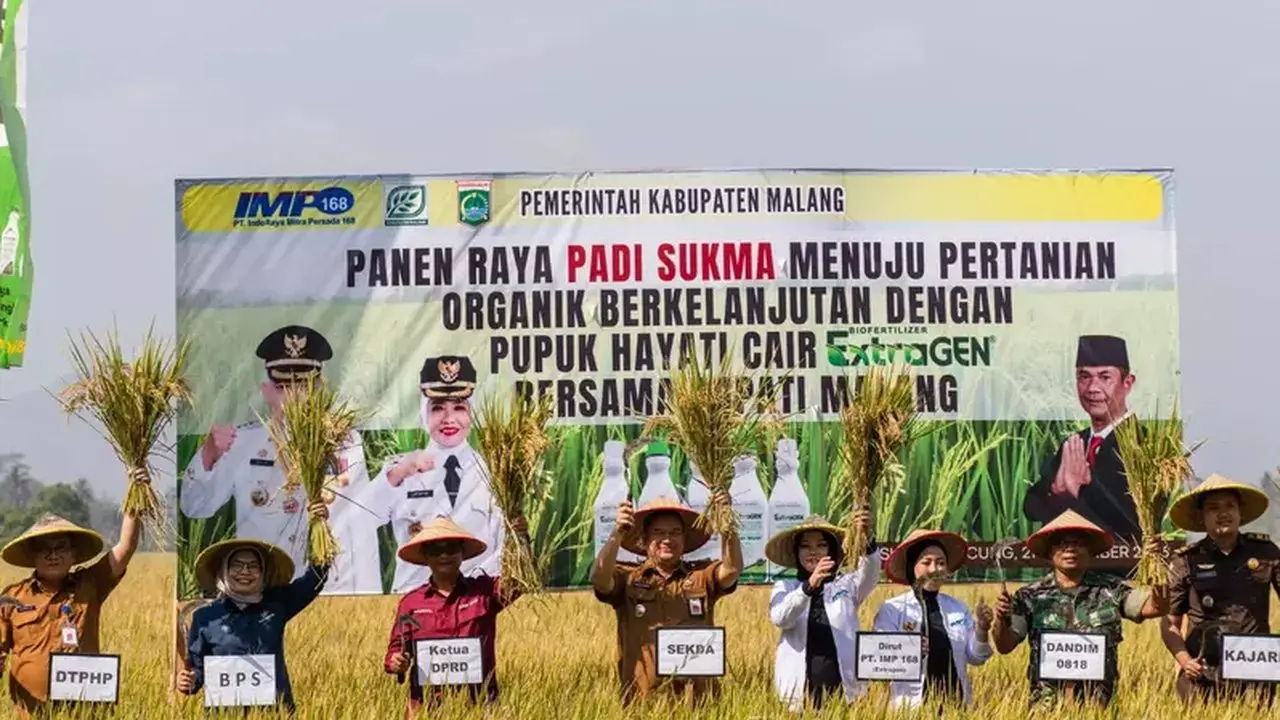 Pupuk Hayati Cair Dongkrak Hasil Panen Padi Malang Hingga 12,5 Ton per Hektare