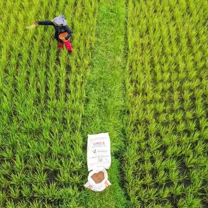 Pupuk Indonesia Tekan Harga Pupuk Subsidi Hingga 20% untuk Petani
