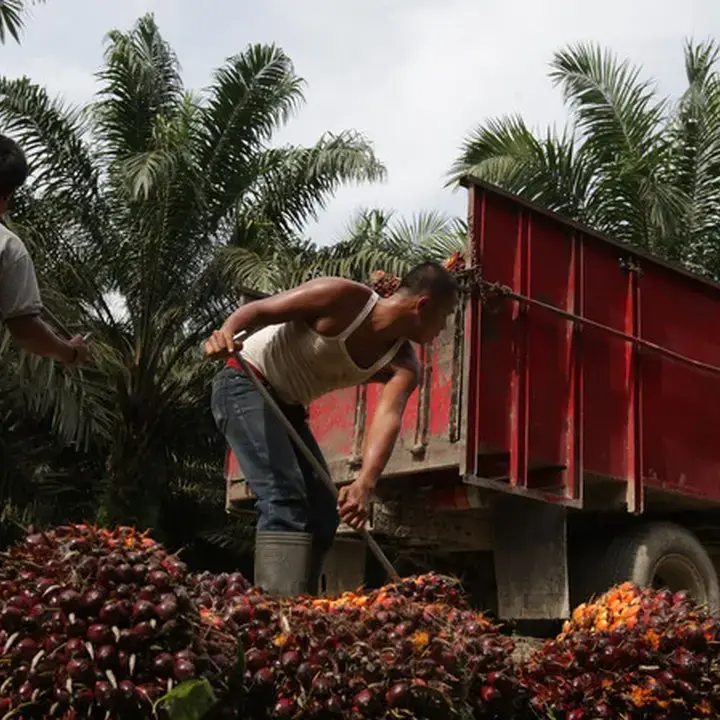 Saham UNSP Keluar dari Papan Pemantauan Khusus BEI