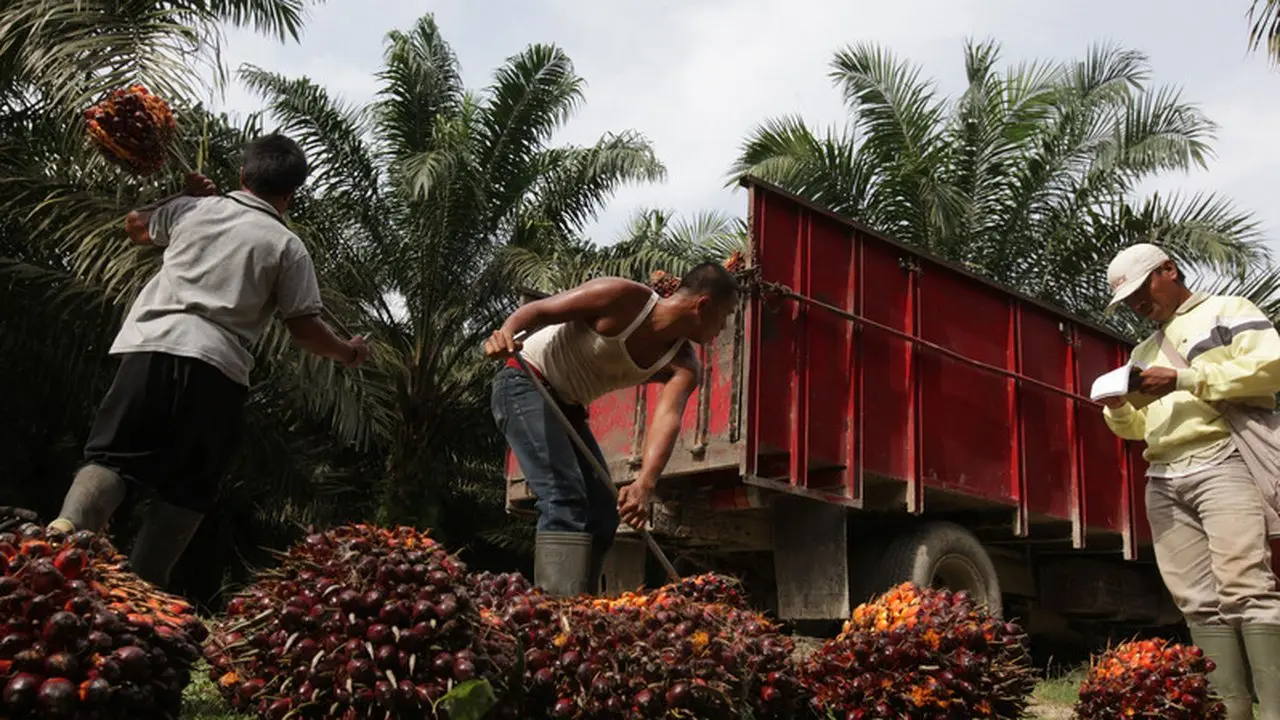 Saham UNSP Keluar dari Papan Pemantauan Khusus BEI