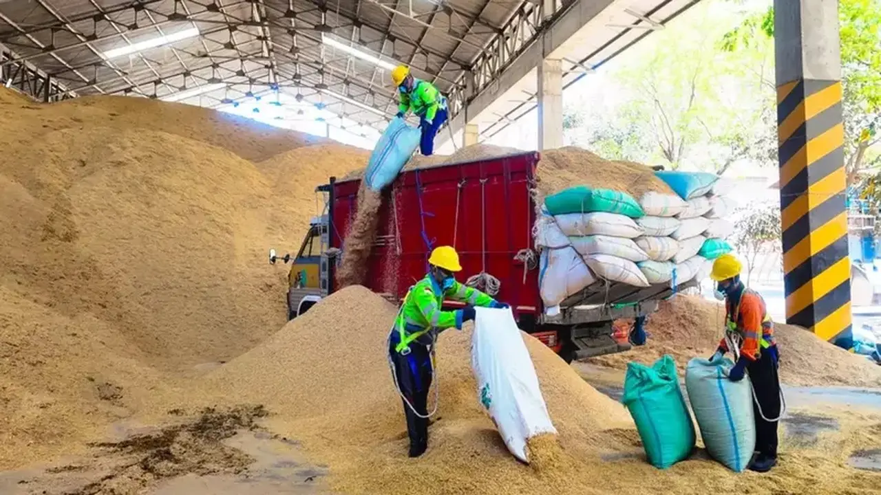 Semen Indonesia Optimalkan Biomassa untuk Produksi Semen Ramah Lingkungan