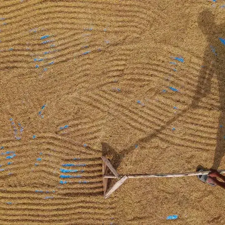 Swasembada Pangan Tercapai, Kesejahteraan Petani Masih Jadi PR Besar