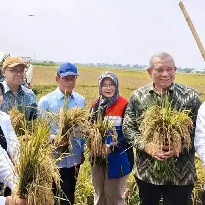 Teknologi Padi Biosalin Tingkatkan Produktivitas Lahan Pesisir Batang