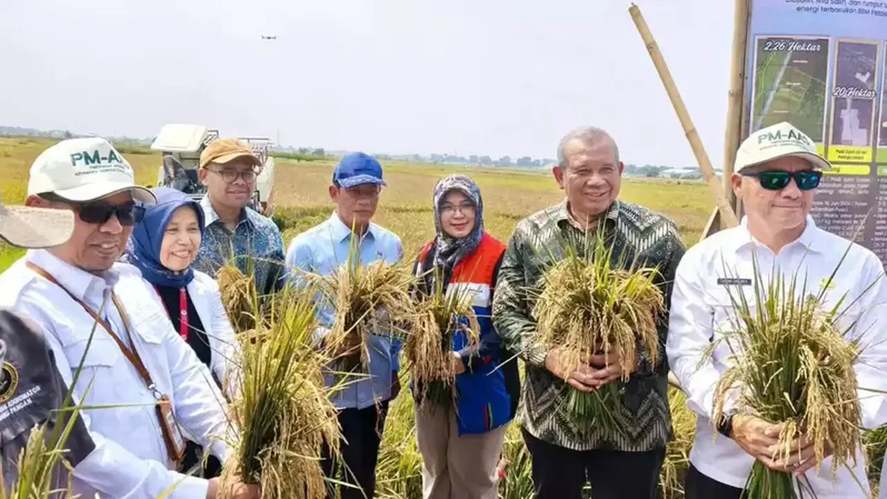 Teknologi Padi Biosalin Tingkatkan Produktivitas Lahan Pesisir Batang