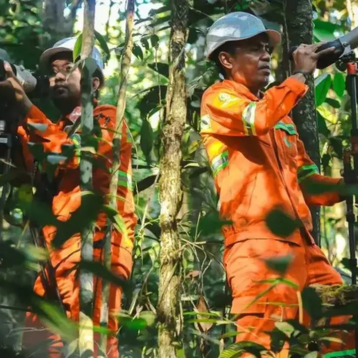 Weda Bay Nickel dan Universitas Khairun Ungkap Ratusan Spesies Flora dan Fauna di Halmahera