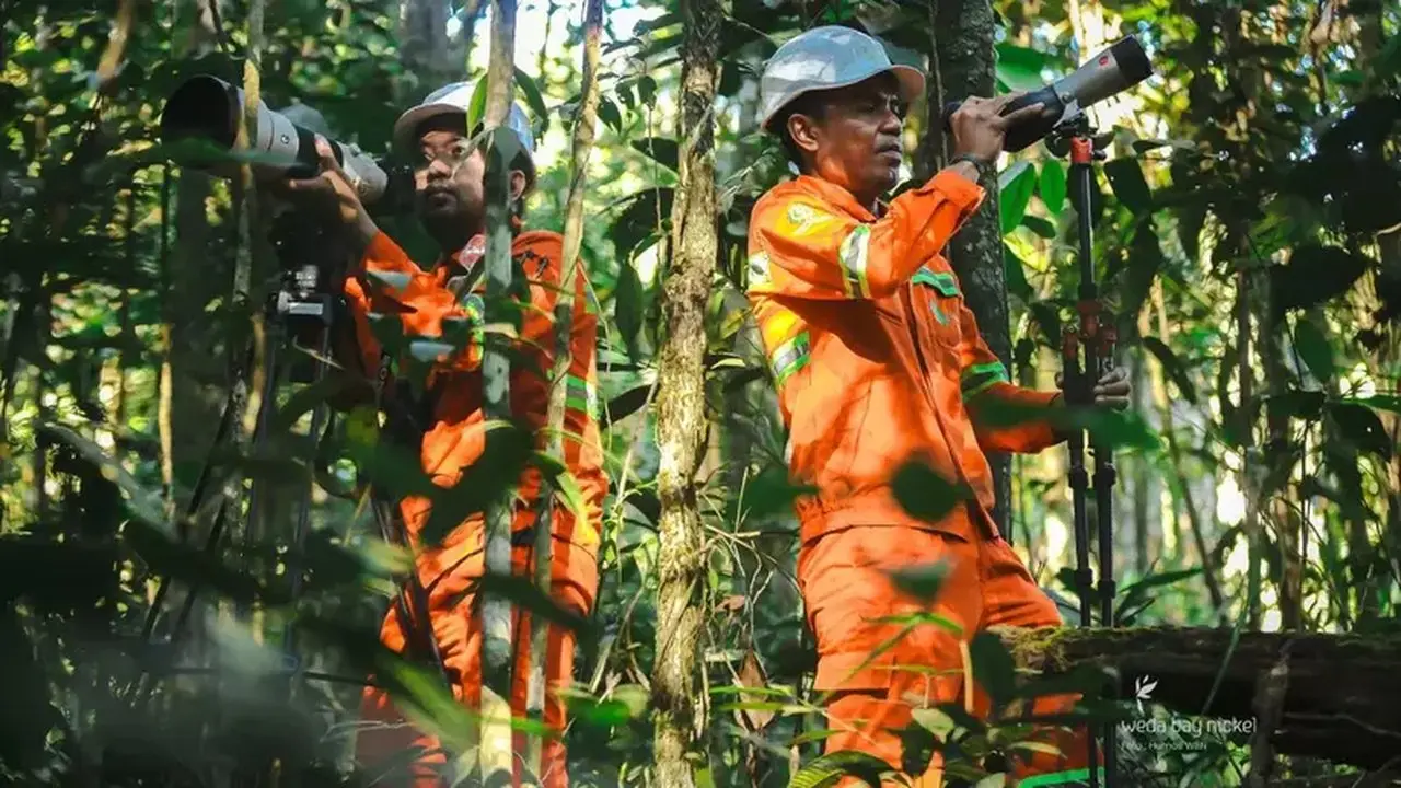 Weda Bay Nickel dan Universitas Khairun Ungkap Ratusan Spesies Flora dan Fauna di Halmahera
